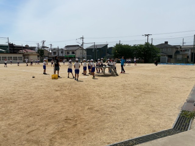 ソフト