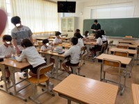 将棋・オセロ、トランプ