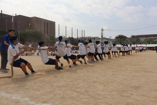 ３年学年種目「綱引き」